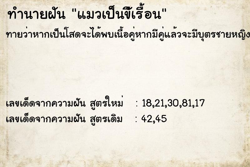 ทำนายฝัน แมวเป็นขีัเรื้อน
