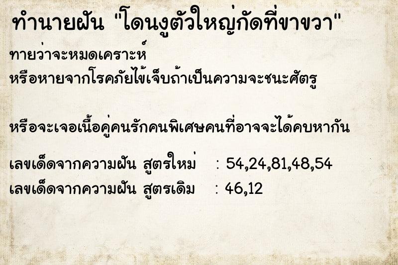 ทำนายฝันทำนายฝันโดนงูตัวใหญ่กัดที่ขาขวา