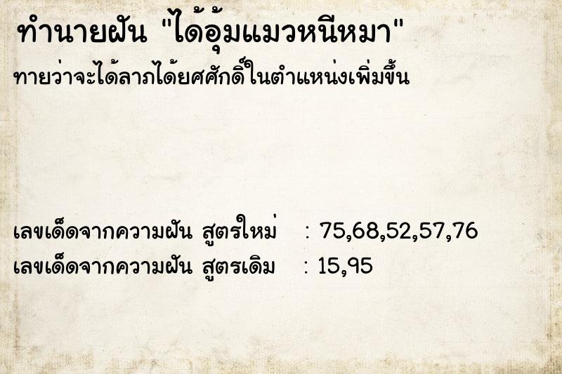 ทำนายฝันได้อุ้มแมวหนีหมา ทำนายฝันทำนายฝันได้อุ้มแมวหนีหมา