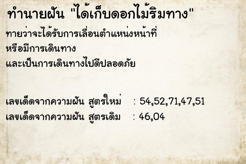 ทำนายฝันได้เก็บดอกไม้ริมทาง ทำนายฝันทำนายฝันได้เก็บดอกไม้ริมทาง