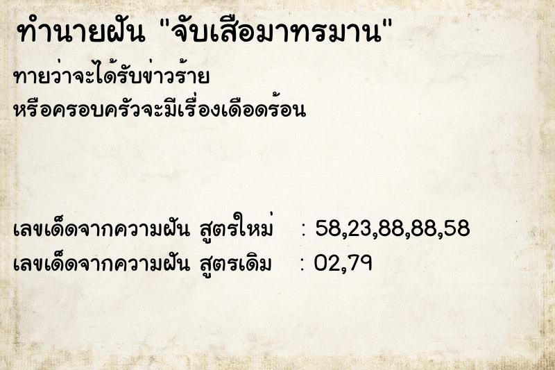 ทำนายฝัน จับเสือมาทรมาน ทำนายฝัน จับเสือมาทรมาน