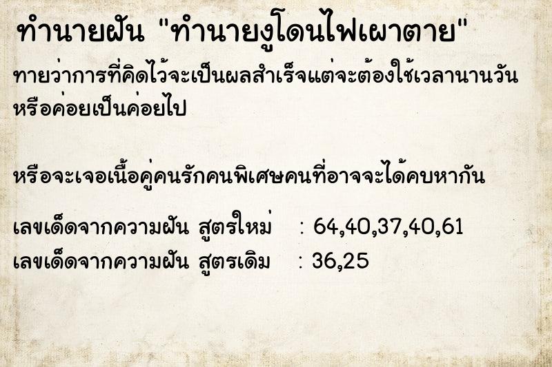 ทำนายฝันทำนายฝันทำนายงูโดนไฟเผาตาย