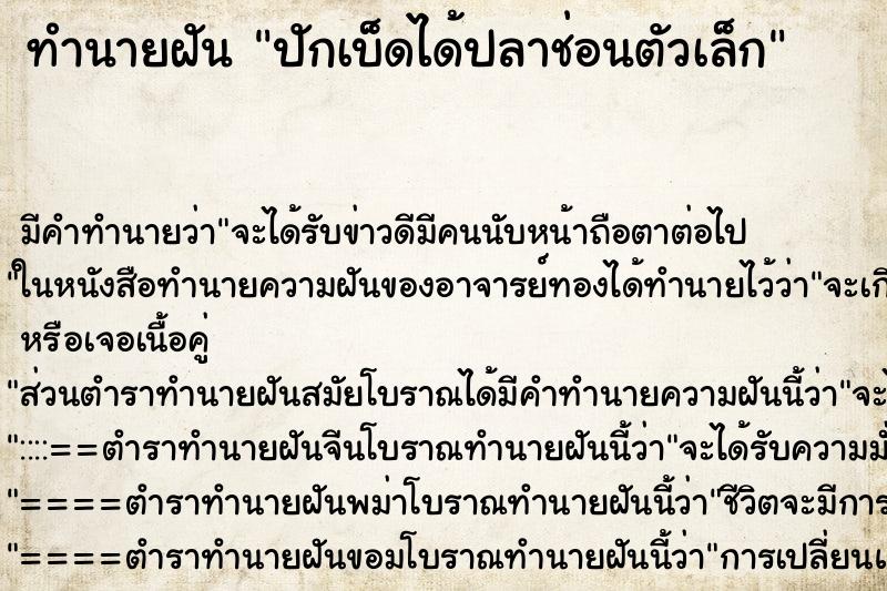 ทำนายฝัน ปักเบ็ดได้ปลาช่อนตัวเล็ก ทำนายฝัน ปักเบ็ดได้ปลาช่อนตัวเล็ก