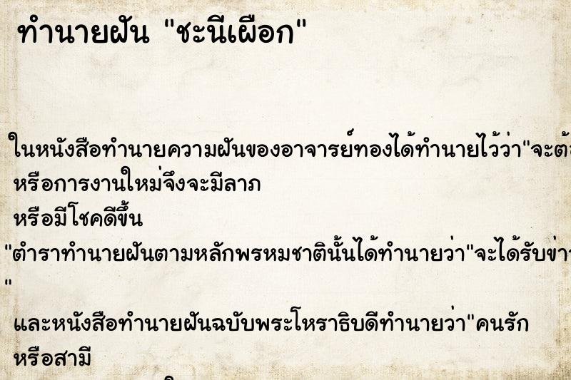 ทำนายฝัน ชะนีเผือก ทำนายฝัน ชะนีเผือก
