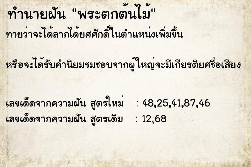 ทำนายฝันพระตกต้นไม้ ทำนายฝันทำนายฝันพระตกต้นไม้
