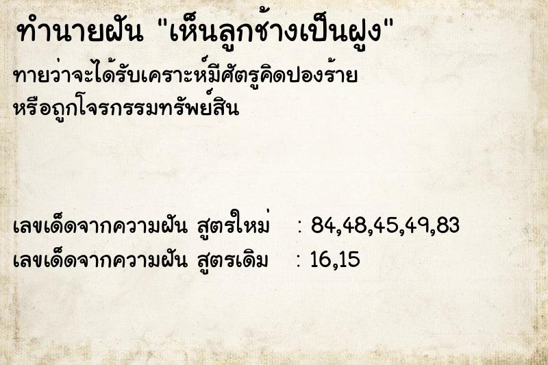 ทำนายฝัน เห็นลูกช้างเป็นฝูง ทำนายฝัน เห็นลูกช้างเป็นฝูง