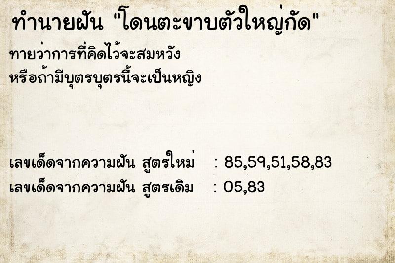 ทำนายฝันโดนตะขาบตัวใหญ่กัด ทำนายฝันทำนายฝันโดนตะขาบตัวใหญ่กัด