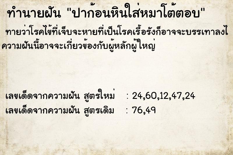 ทำนายฝันปาก้อนหินใส่หมาโต้ตอบ ทำนายฝันทำนายฝันปาก้อนหินใส่หมาโต้ตอบ