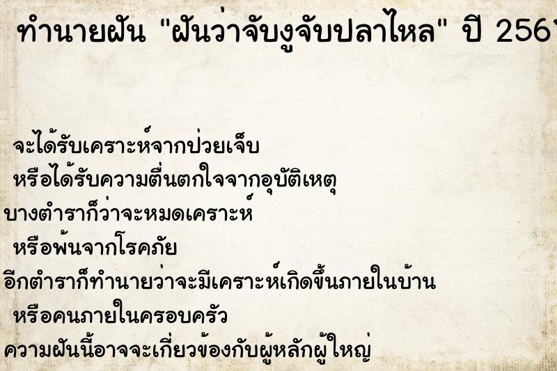ทำนายฝันฝันว่าจับงูจับปลาไหล ทำนายฝันทำนายฝันฝันว่าจับงูจับปลาไหล