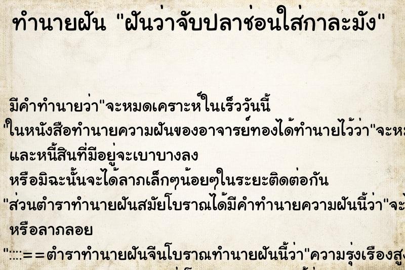 ทำนายฝันฝันว่าจับปลาช่อนใส่กาละมัง ทำนายฝันทำนายฝันฝันว่าจับปลาช่อนใส่กาละมัง