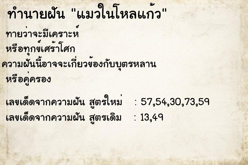 ทำนายฝันทำนายฝันแมวในโหลแก้ว