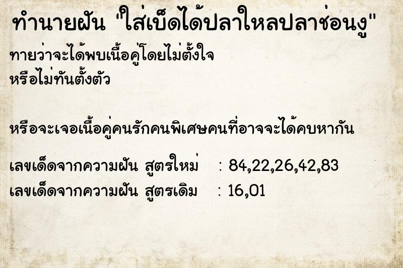 ทำนายฝันทำนายฝันใส่เบ็ดได้ปลาใหลปลาช่อนงู