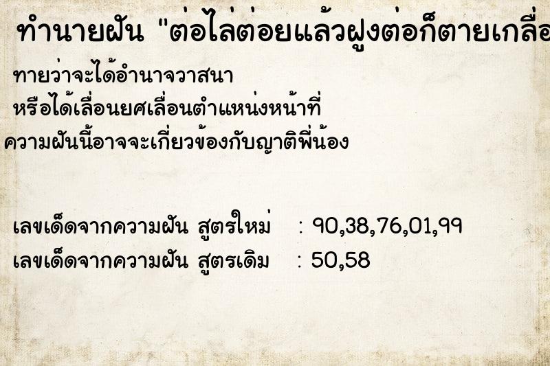 ทำนายฝันต่อไล่ต่อยแล้วฝูงต่อก็ตายเกลื่อน ทำนายฝันทำนายฝันต่อไล่ต่อยแล้วฝูงต่อก็ตายเกลื่อน