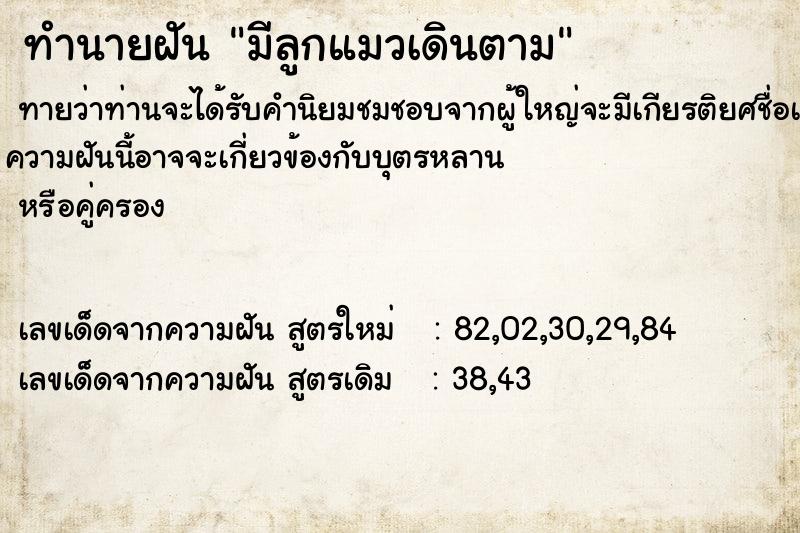 ทำนายฝันมีลูกแมวเดินตาม ทำนายฝันทำนายฝันมีลูกแมวเดินตาม