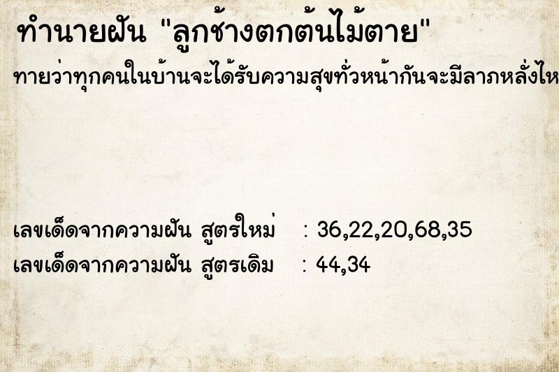 ทำนายฝันลูกช้างตกต้นไม้ตาย ทำนายฝันทำนายฝันลูกช้างตกต้นไม้ตาย