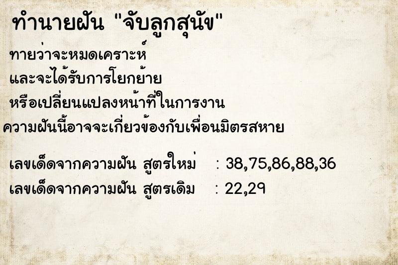 ทำนายฝัน จับลูกสุนัข ทำนายฝัน จับลูกสุนัข