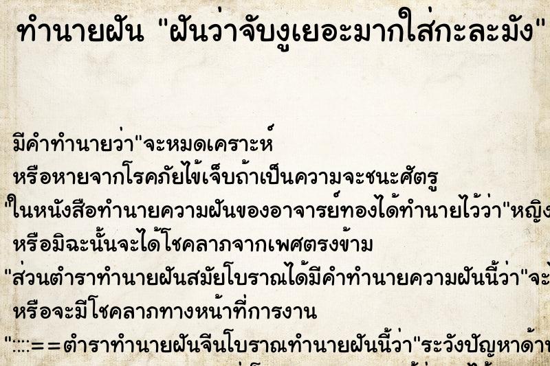 ทำนายฝันฝันว่าจับงูเยอะมากใส่กะละมัง ทำนายฝันทำนายฝันฝันว่าจับงูเยอะมากใส่กะละมัง