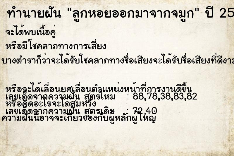 ทำนายฝันลูกหอยออกมาจากจมูก ทำนายฝันทำนายฝันลูกหอยออกมาจากจมูก