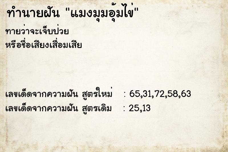 ทำนายฝันแมงมุมอุ้มไข่ ทำนายฝันทำนายฝันแมงมุมอุ้มไข่