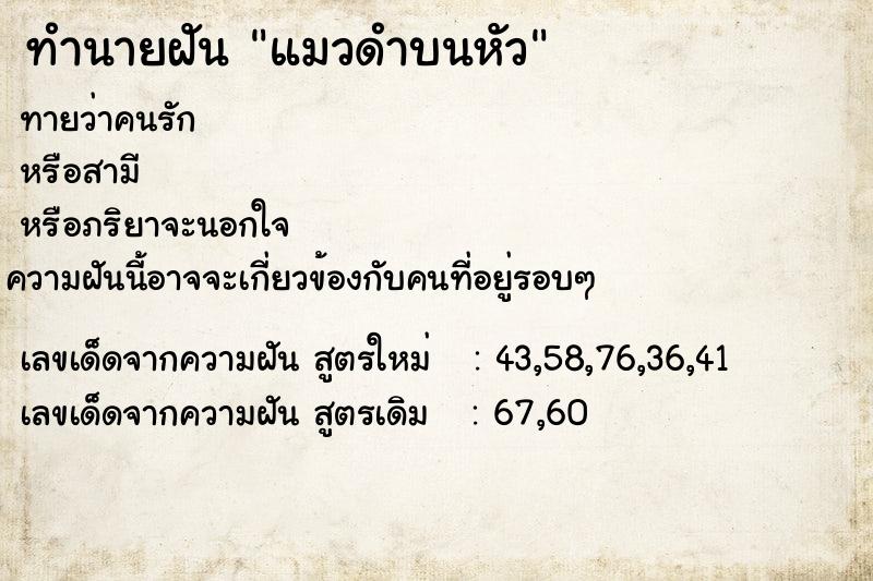 ทำนายฝันทำนายฝันแมวดำบนหัว