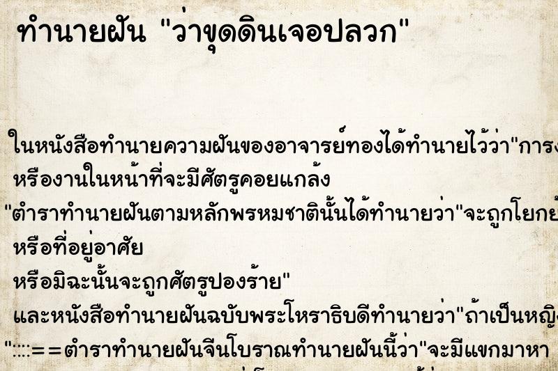 ทำนายฝัน ว่าขุดดินเจอปลวก ทำนายฝัน ว่าขุดดินเจอปลวก