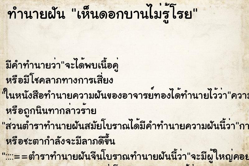 ทำนายฝัน เห็นดอกบานไม่รู้โรย