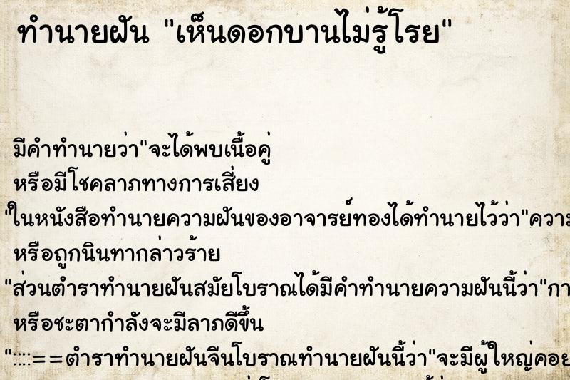 ทำนายฝัน เห็นดอกบานไม่รู้โรย ตำราโบราณ แม่นที่สุดในโลก