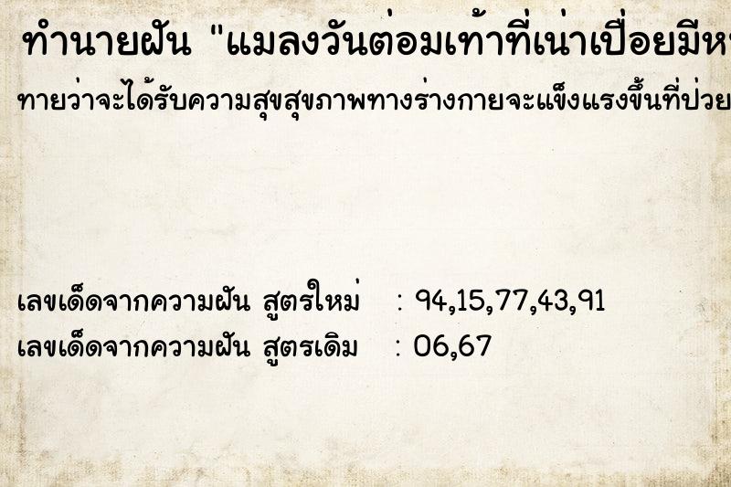 ทำนายฝันทำนายฝันแมลงวันต่อมเท้าที่เน่าเปื่อยมีหนอนไตยัวแยี๊