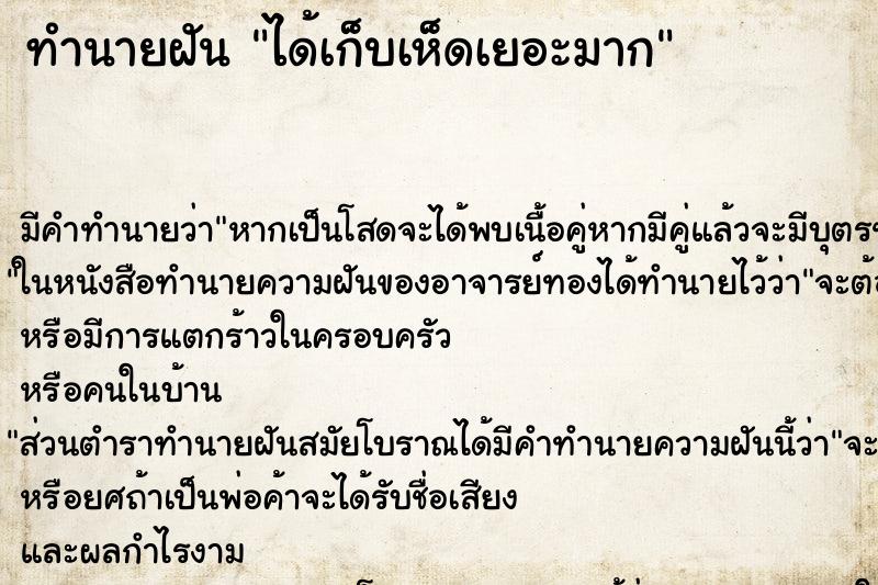 ทำนายฝัน ได้เก็บเห็ดเยอะมาก ทำนายฝัน ได้เก็บเห็ดเยอะมาก