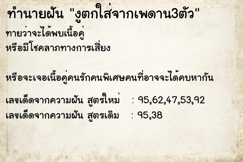 ทำนายฝันงูตกใส่จากเพดาน3ตัว ทำนายฝันทำนายฝันงูตกใส่จากเพดาน3ตัว