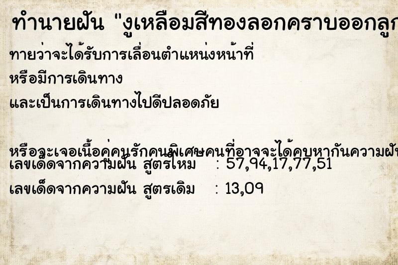 ทำนายฝันงูเหลือมสีทองลอกคราบออกลูก ทำนายฝันทำนายฝันงูเหลือมสีทองลอกคราบออกลูก