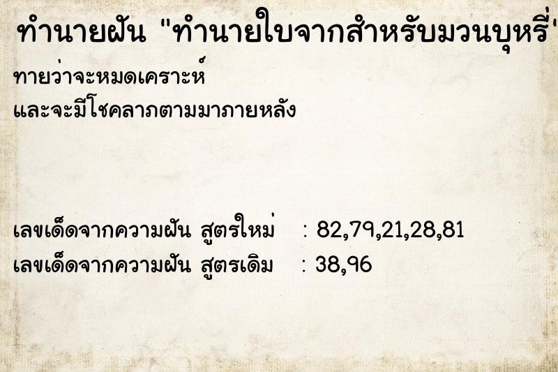 ทำนายฝัน ทำนายใบจากสำหรับมวนบุหรี่ ทำนายฝัน ทำนายใบจากสำหรับมวนบุหรี่