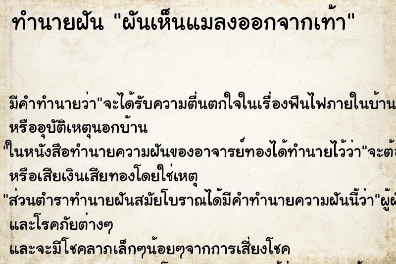 ทำนายฝัน ผันเห็นแมลงออกจากเท้า ทำนายฝัน ผันเห็นแมลงออกจากเท้า