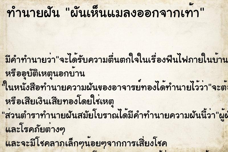 ทำนายฝัน ผันเห็นแมลงออกจากเท้า ตำราโบราณ แม่นที่สุดในโลก