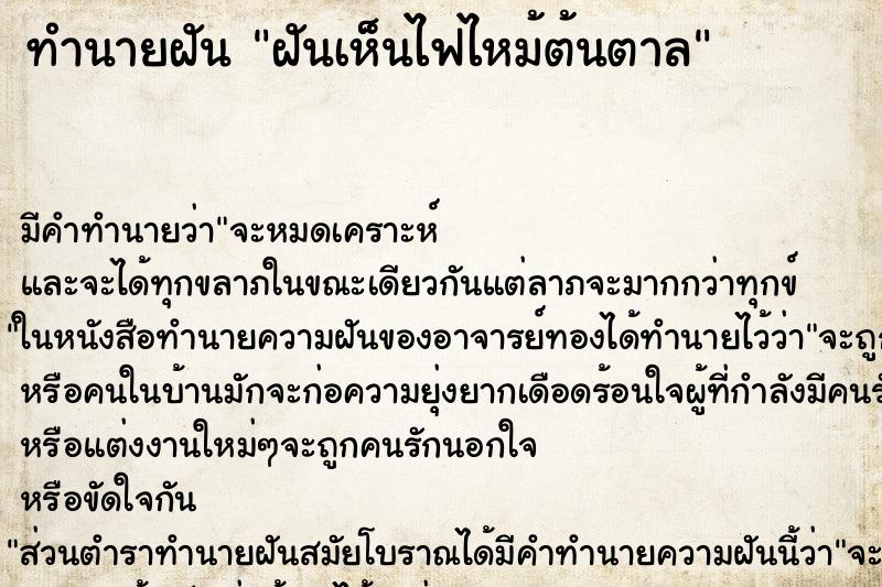 ทำนายฝันฝันเห็นไฟไหม้ต้นตาล ทำนายฝันทำนายฝันฝันเห็นไฟไหม้ต้นตาล
