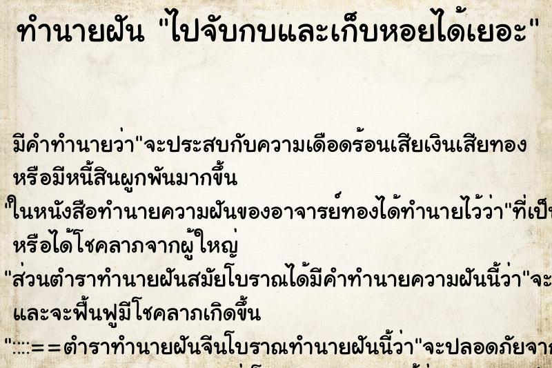 ทำนายฝันทำนายฝันไปจับกบและเก็บหอยได้เยอะ