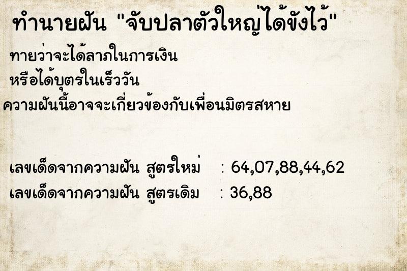 ทำนายฝันจับปลาตัวใหญ่ได้ขังไว้ ทำนายฝันทำนายฝันจับปลาตัวใหญ่ได้ขังไว้