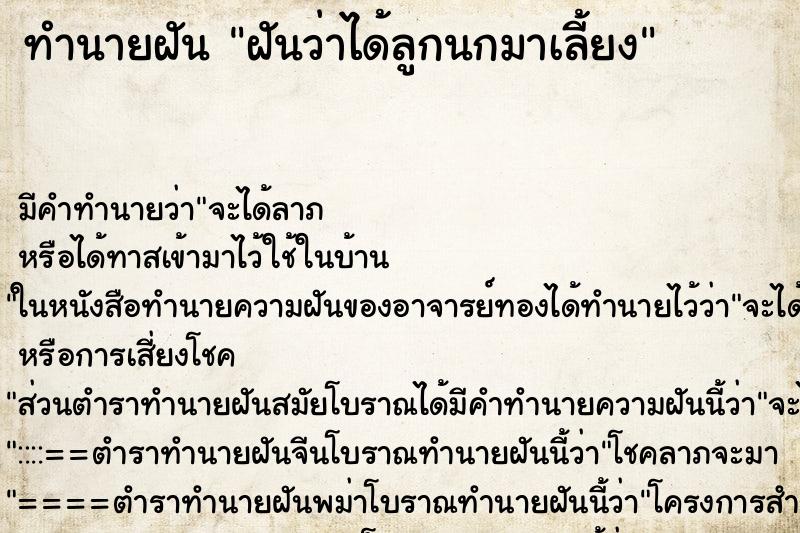 ทำนายฝัน ฝันว่าได้ลูกนกมาเลี้ยง ทำนายฝัน ฝันว่าได้ลูกนกมาเลี้ยง