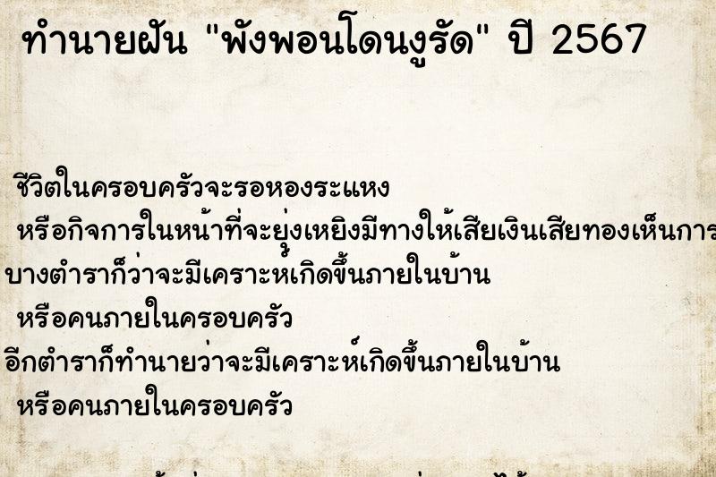 ทำนายฝัน พังพอนโดนงูรัด ทำนายฝัน พังพอนโดนงูรัด