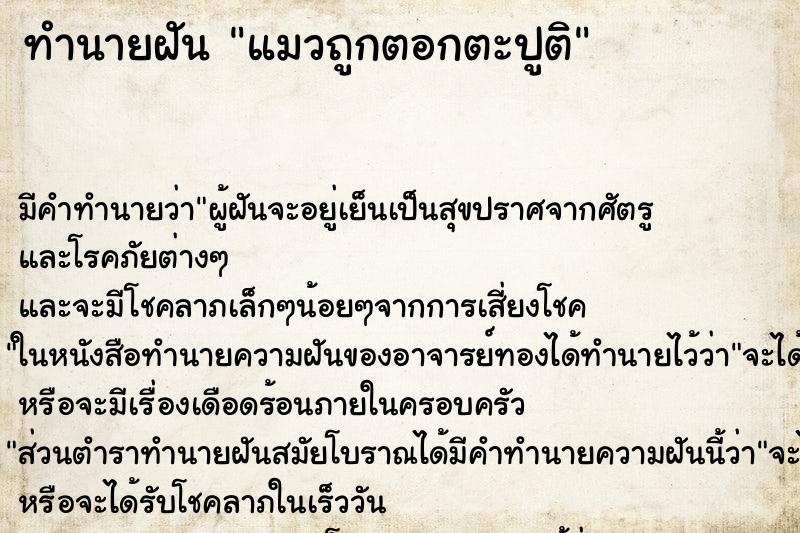 ทำนายฝันแมวถูกตอกตะปูติ ทำนายฝันทำนายฝันแมวถูกตอกตะปูติ
