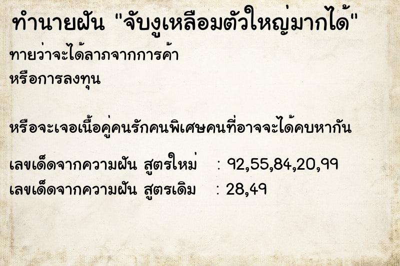 ทำนายฝันจับงูเหลือมตัวใหญ่มากได้ ทำนายฝันทำนายฝันจับงูเหลือมตัวใหญ่มากได้