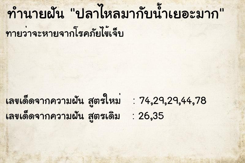 ทำนายฝันปลาไหลมากับน้ำเยอะมาก ทำนายฝันทำนายฝันปลาไหลมากับน้ำเยอะมาก