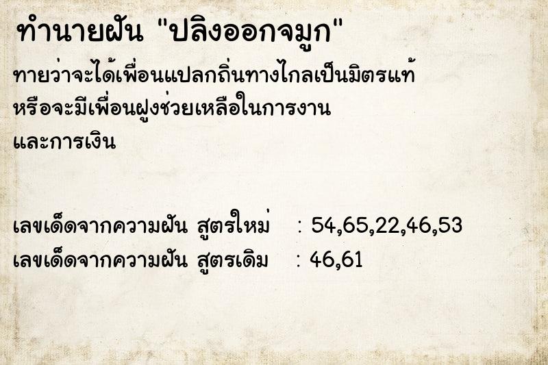 ทำนายฝันปลิงออกจมูก ทำนายฝันทำนายฝันปลิงออกจมูก