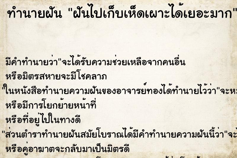 ทำนายฝัน ฝันไปเก็บเห็ดเผาะได้เยอะมาก ทำนายฝัน ฝันไปเก็บเห็ดเผาะได้เยอะมาก