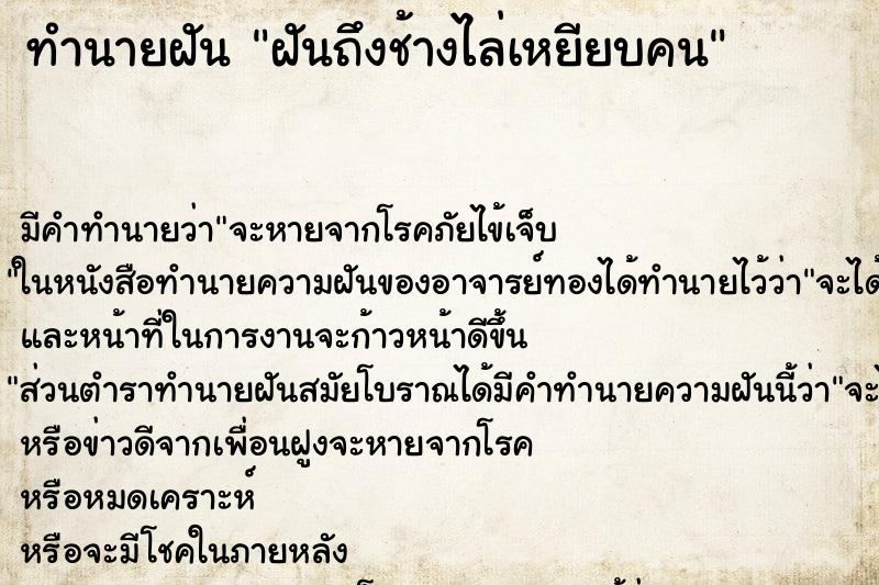 ทำนายฝัน ฝันถึงช้างไล่เหยียบคน ทำนายฝัน ฝันถึงช้างไล่เหยียบคน