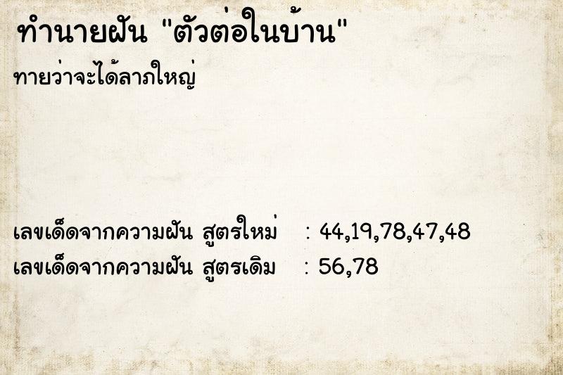 ทำนายฝัน ตัวต่อในบ้าน