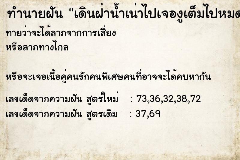 ทำนายฝันทำนายฝันเดินฝ่าน้ำเน่าไปเจองูเต็มไปหมด