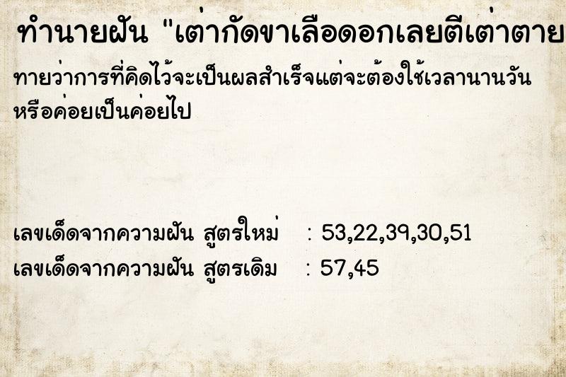 ทำนายฝันเต่ากัดขาเลือดอกเลยตีเต่าตาย ทำนายฝันทำนายฝันเต่ากัดขาเลือดอกเลยตีเต่าตาย