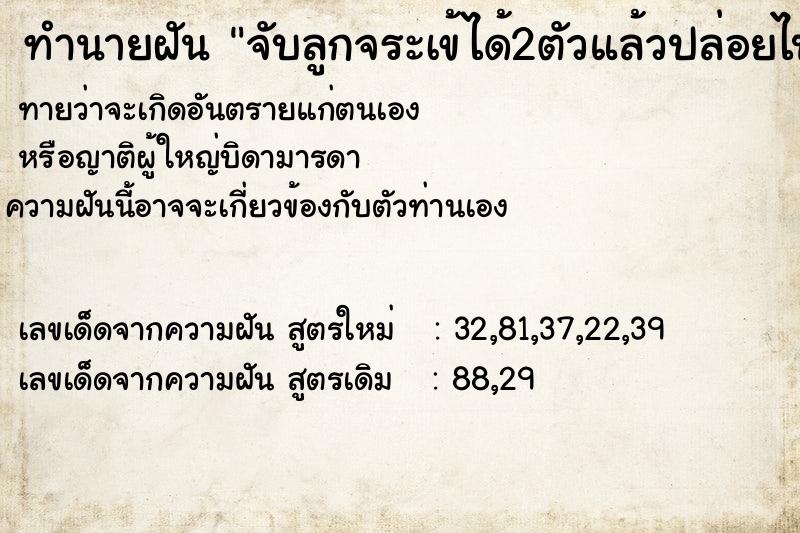 ทำนายฝันทำนายฝันจับลูกจระเข้ได้2ตัวแล้วปล่อยไป1ตัว