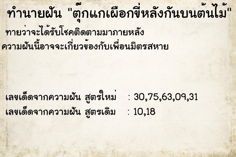 ทำนายฝันตุ๊กแกเผือกขี่หลังกันบนต้นไม้ ทำนายฝันทำนายฝันตุ๊กแกเผือกขี่หลังกันบนต้นไม้